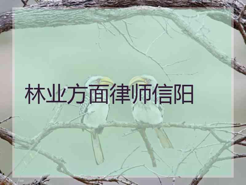 林业方面律师信阳