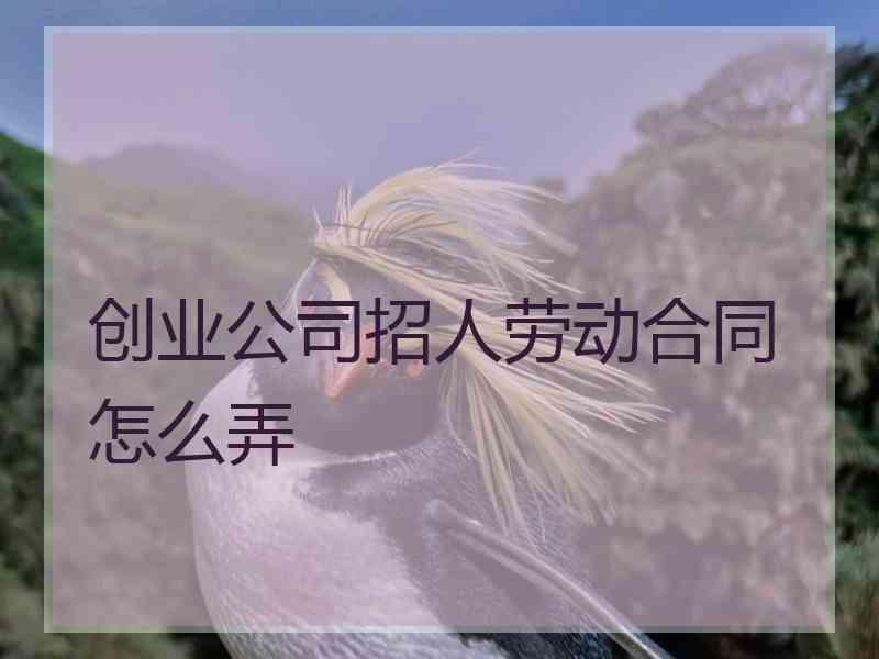 创业公司招人劳动合同怎么弄