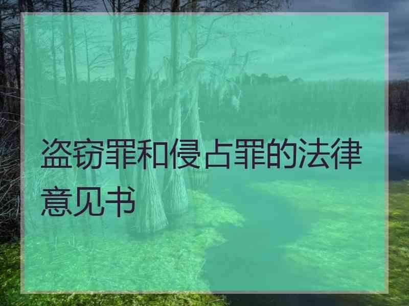 盗窃罪和侵占罪的法律意见书