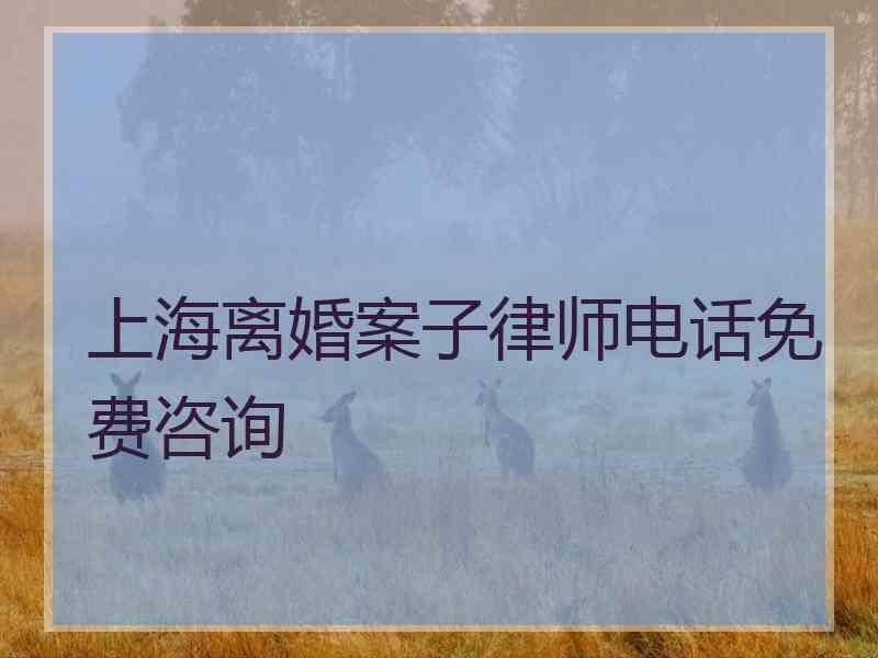 上海离婚案子律师电话免费咨询