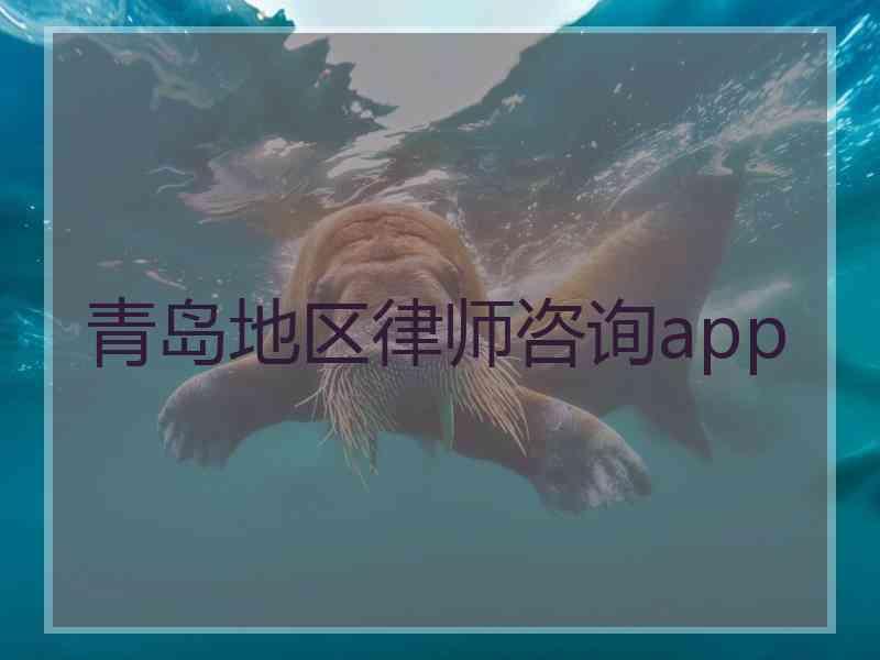 青岛地区律师咨询app
