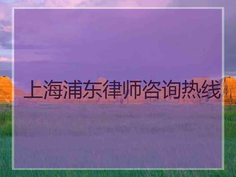 上海浦东律师咨询热线