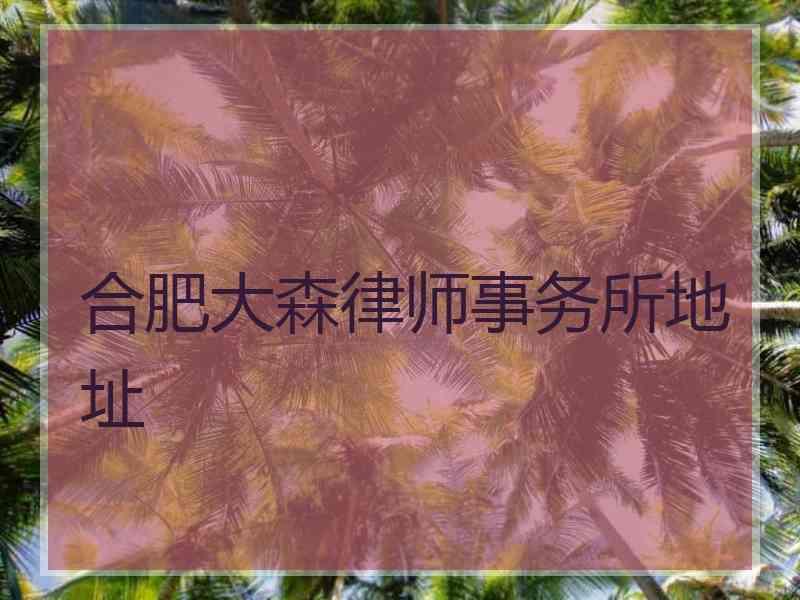 合肥大森律师事务所地址