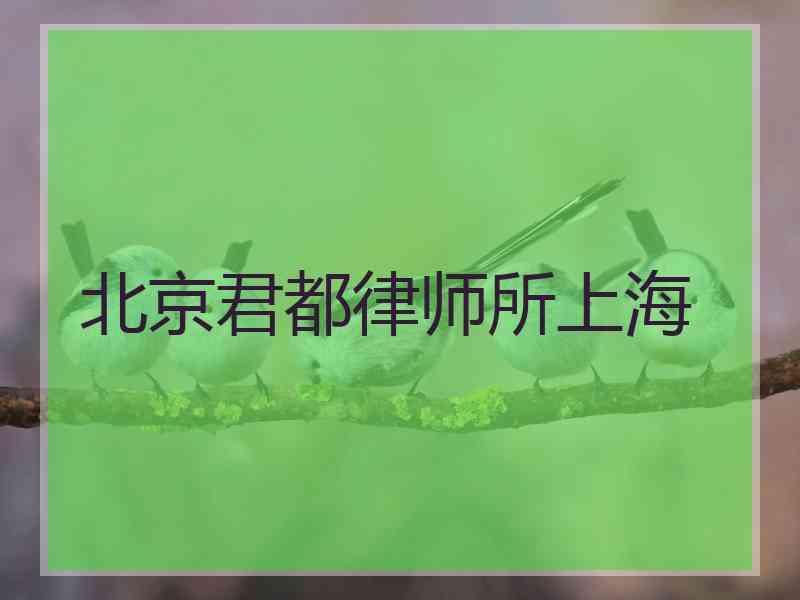 北京君都律师所上海