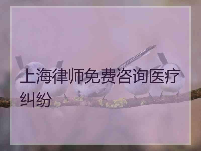 上海律师免费咨询医疗纠纷