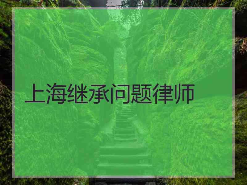 上海继承问题律师