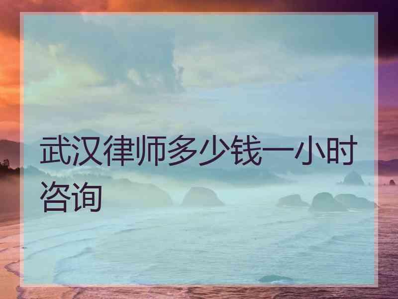 武汉律师多少钱一小时咨询