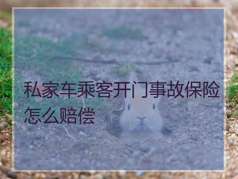 私家车乘客开门事故保险怎么赔偿