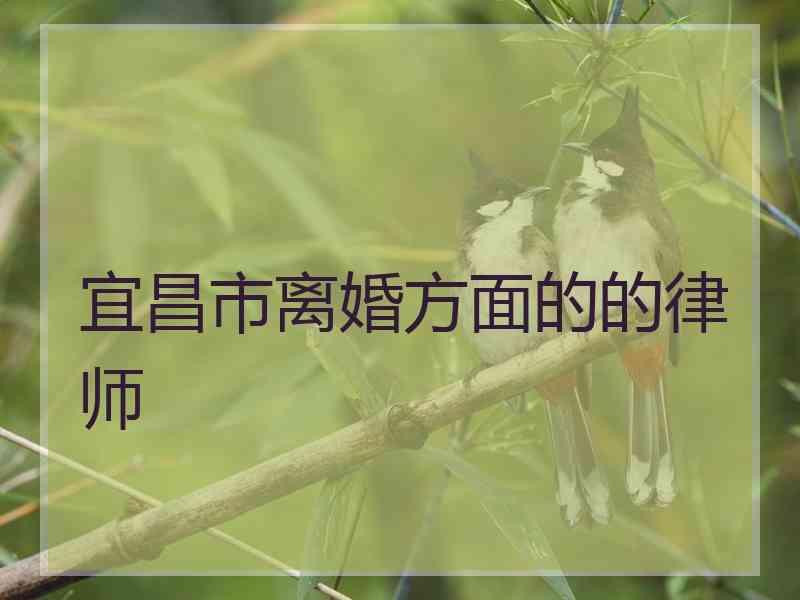 宜昌市离婚方面的的律师