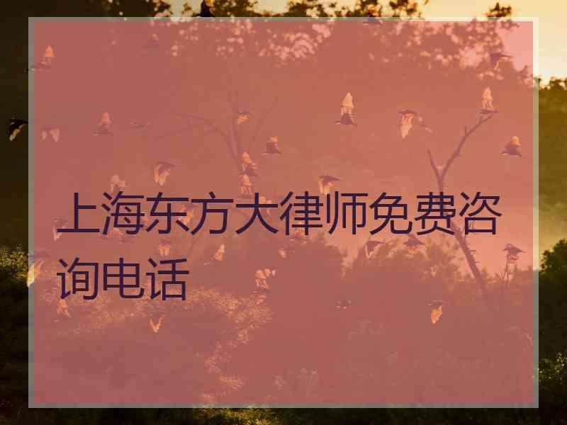 上海东方大律师免费咨询电话