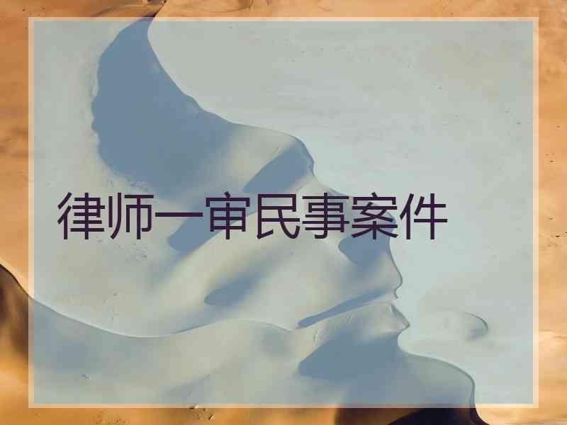 律师一审民事案件