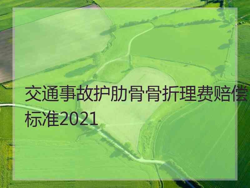 交通事故护肋骨骨折理费赔偿标准2021