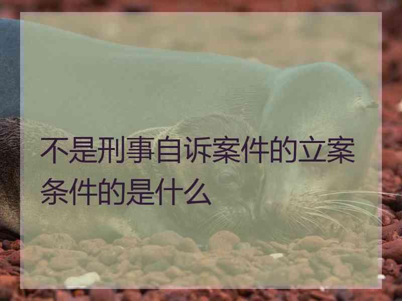 不是刑事自诉案件的立案条件的是什么