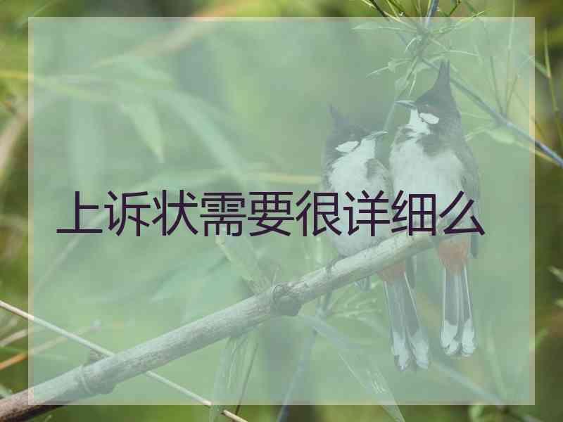 上诉状需要很详细么