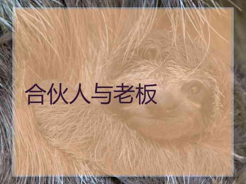合伙人与老板