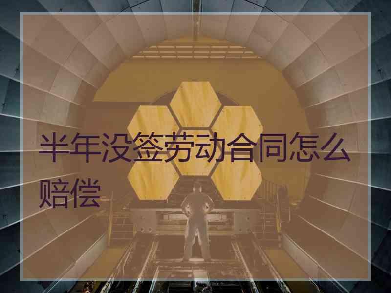 半年没签劳动合同怎么赔偿