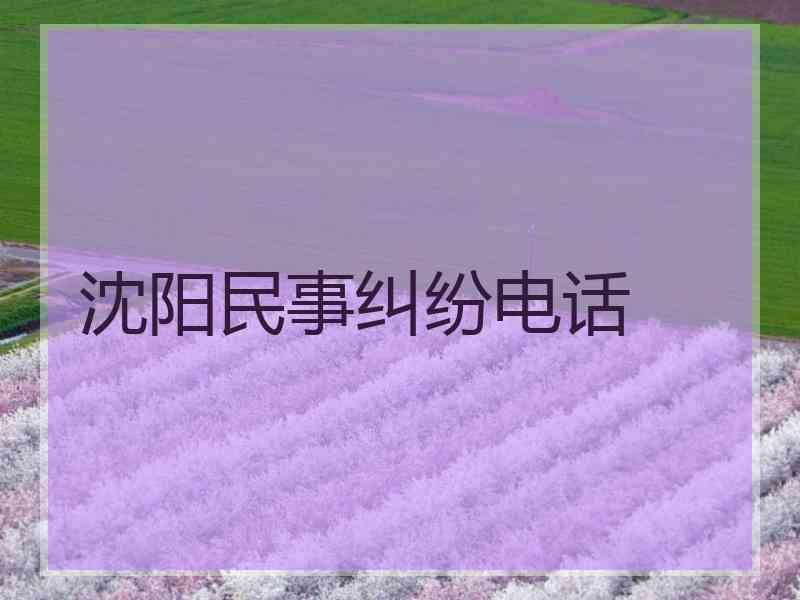 沈阳民事纠纷电话