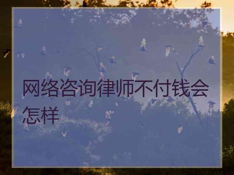 网络咨询律师不付钱会怎样