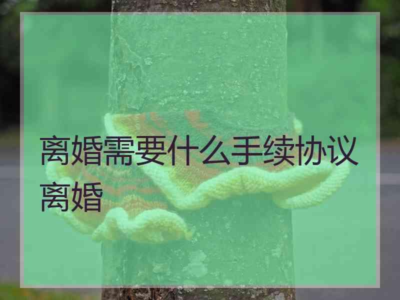 离婚需要什么手续协议离婚