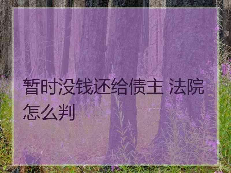 暂时没钱还给债主 法院怎么判