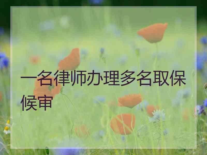 一名律师办理多名取保候审