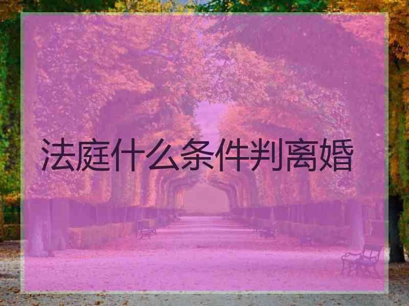 法庭什么条件判离婚