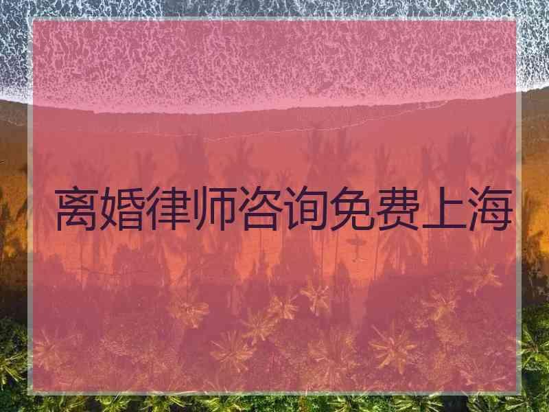 离婚律师咨询免费上海