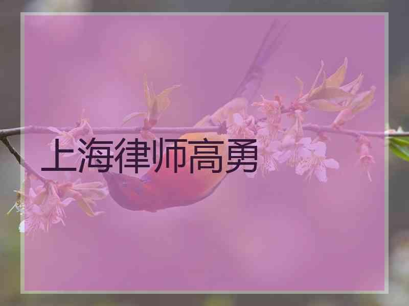 上海律师高勇