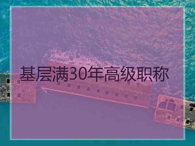 基层满30年高级职称