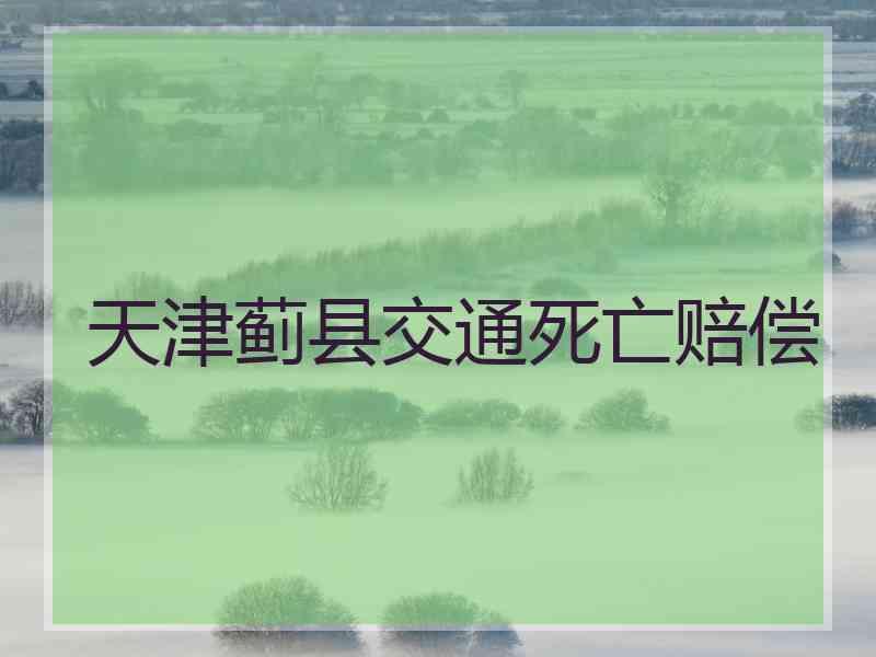 天津蓟县交通死亡赔偿