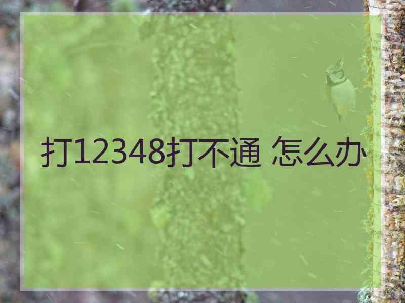 打12348打不通 怎么办