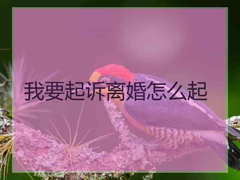 我要起诉离婚怎么起