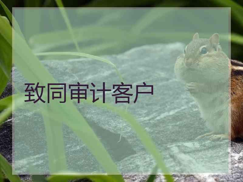 致同审计客户