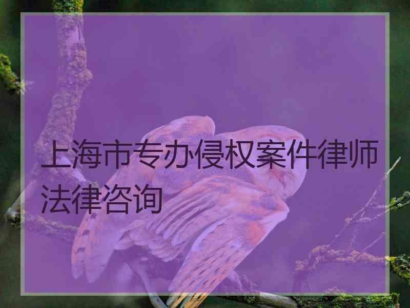 上海市专办侵权案件律师法律咨询