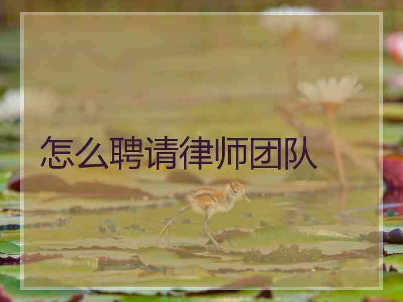 怎么聘请律师团队