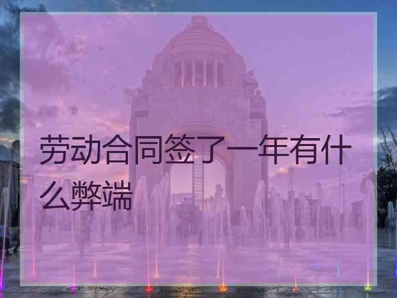 劳动合同签了一年有什么弊端