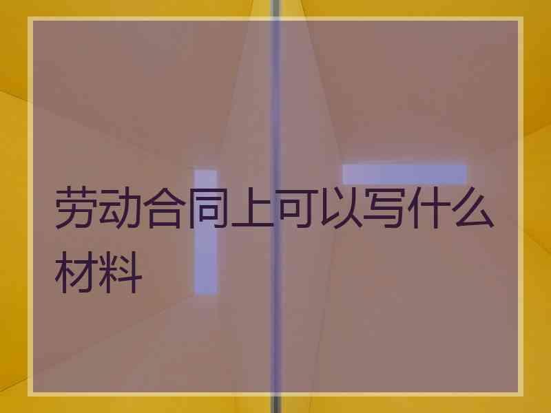 劳动合同上可以写什么材料