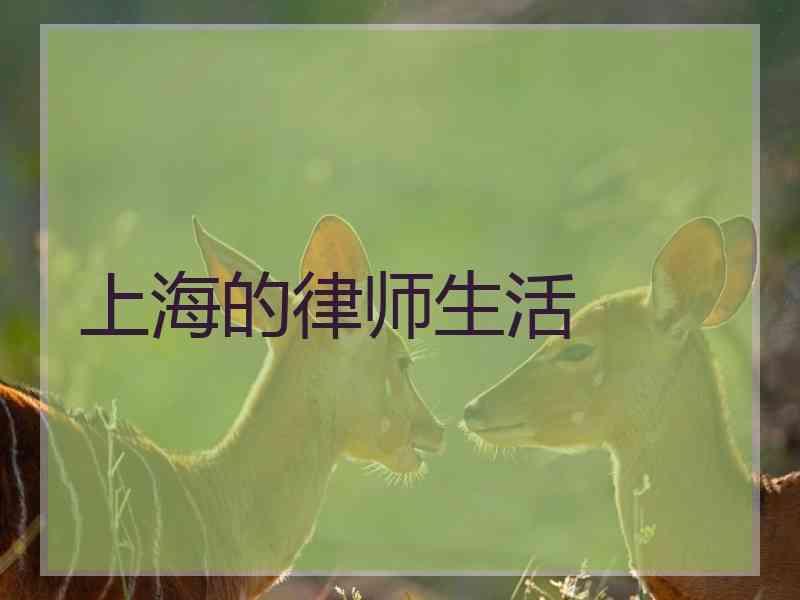 上海的律师生活