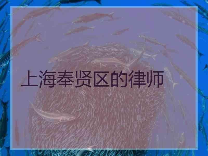 上海奉贤区的律师