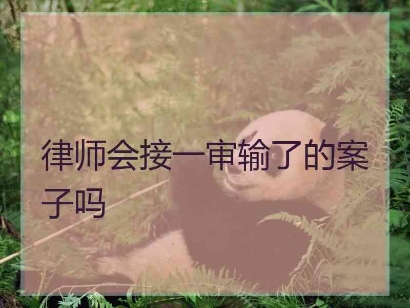 律师会接一审输了的案子吗