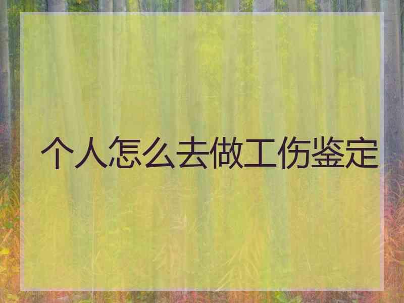 个人怎么去做工伤鉴定