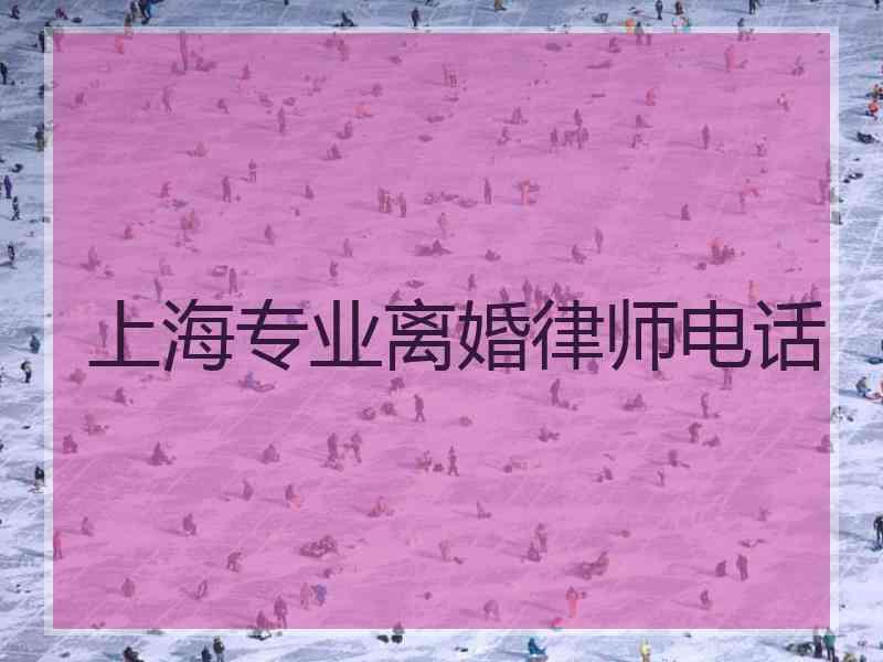 上海专业离婚律师电话