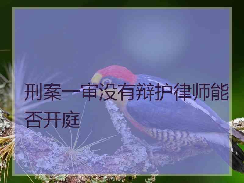 刑案一审没有辩护律师能否开庭