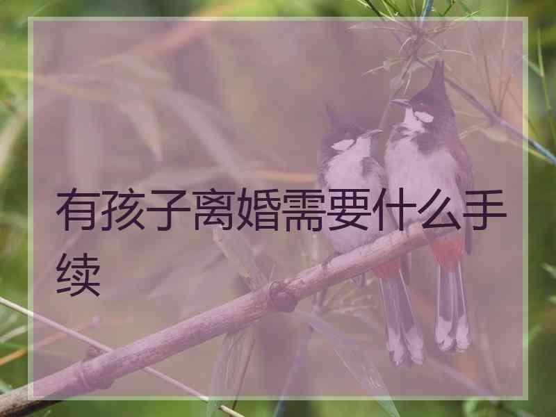 有孩子离婚需要什么手续