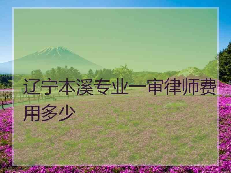 辽宁本溪专业一审律师费用多少