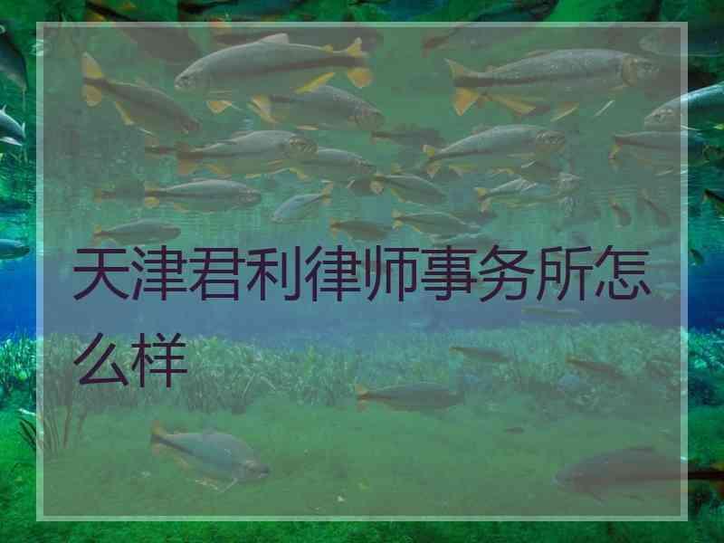 天津君利律师事务所怎么样