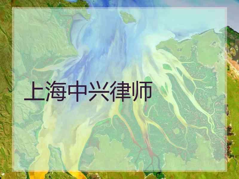 上海中兴律师