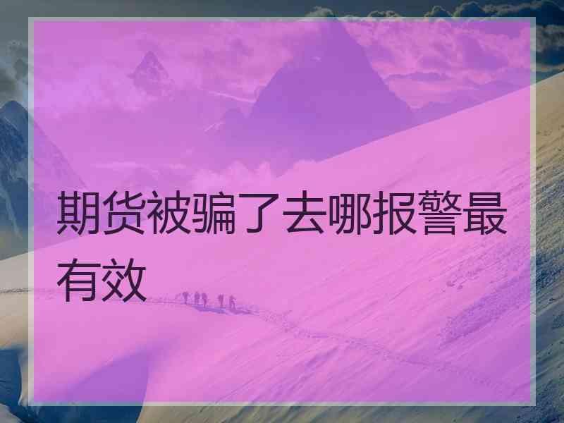 期货被骗了去哪报警最有效