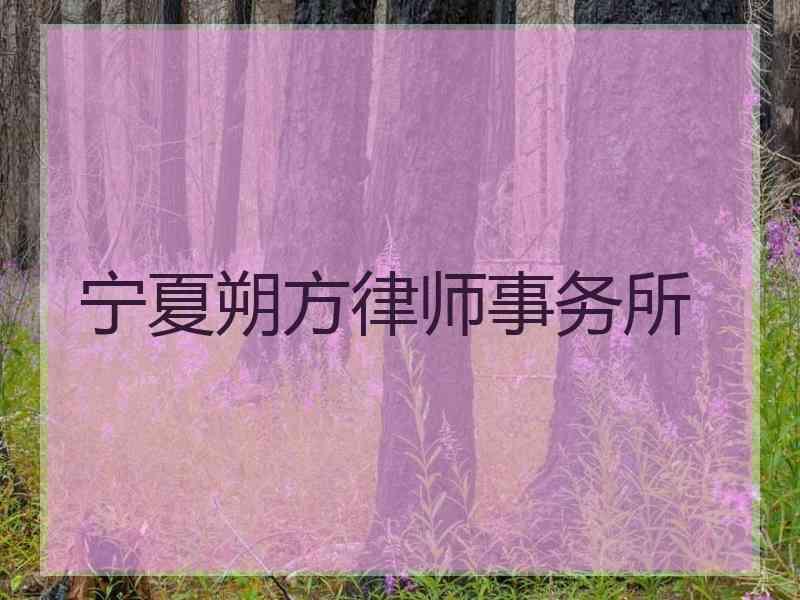 宁夏朔方律师事务所