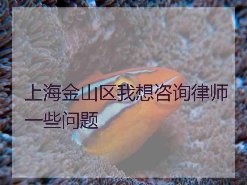 上海金山区我想咨询律师一些问题